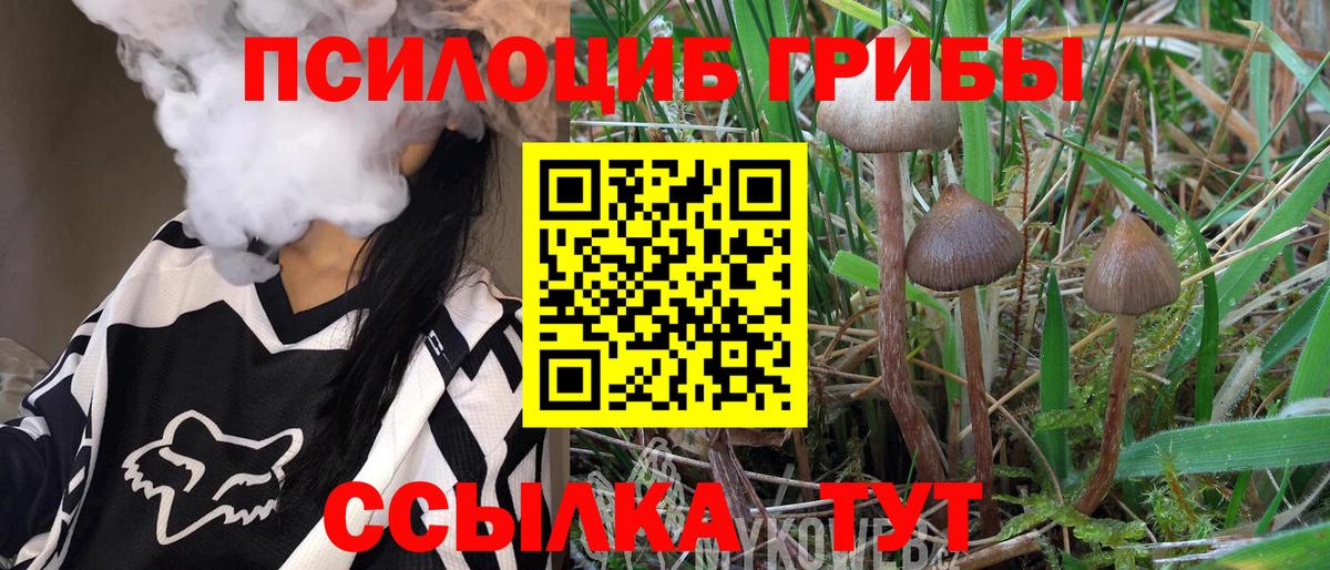 магазин продажи наркотиков  Галлюциногенные грибы мицелий  Вход с VPN  Зима 