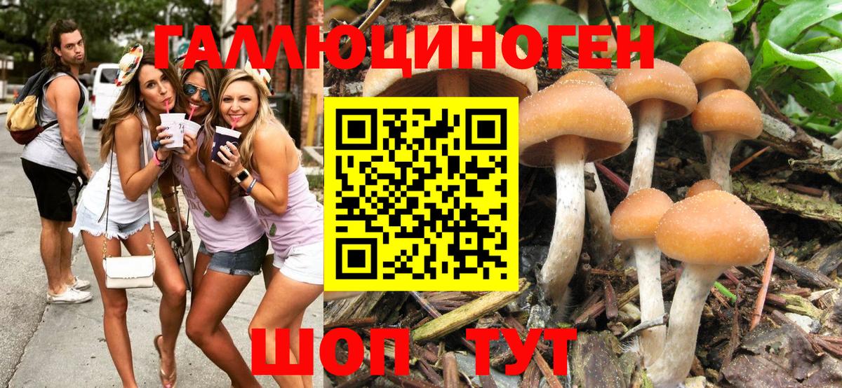 Псилоцибиновые грибы мухоморы Зима